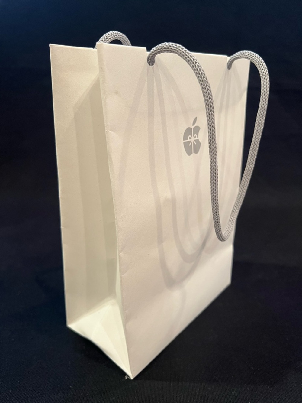 Apple Store White Paper Gift Tote Reusable Shopping Bag w Grey Rope Handles